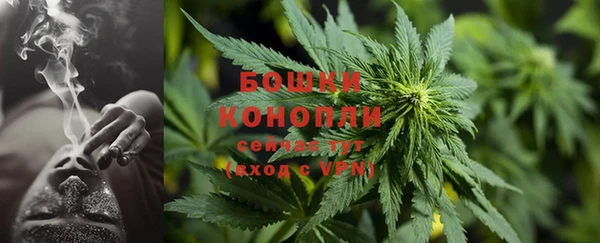 прущая мука Бородино