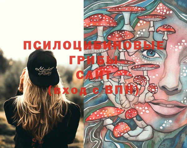 прущая мука Бородино