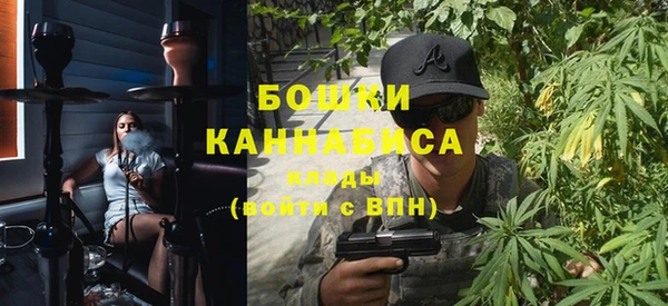 крисы Бугульма