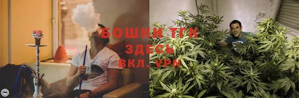 прущая мука Бородино